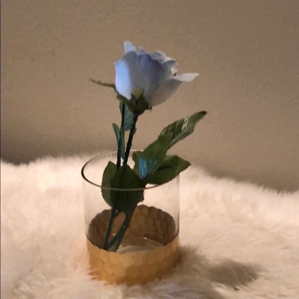 Gold accent decorative glass or vase